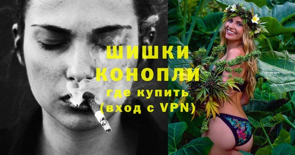 mix Богородск