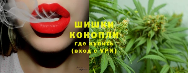 стафф Богородицк