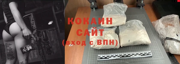 стафф Богородицк