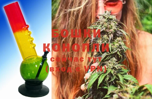 стафф Богородицк