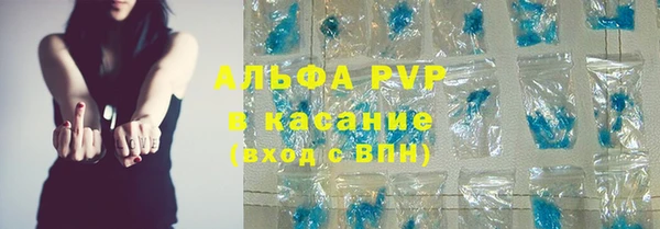 стафф Богданович