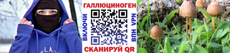 Галлюциногенные грибы GOLDEN TEACHER  Брянск 